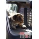 Cofre trasero porta-perros Towbox V2 Dog Gris/Blanco. Envío Incluido